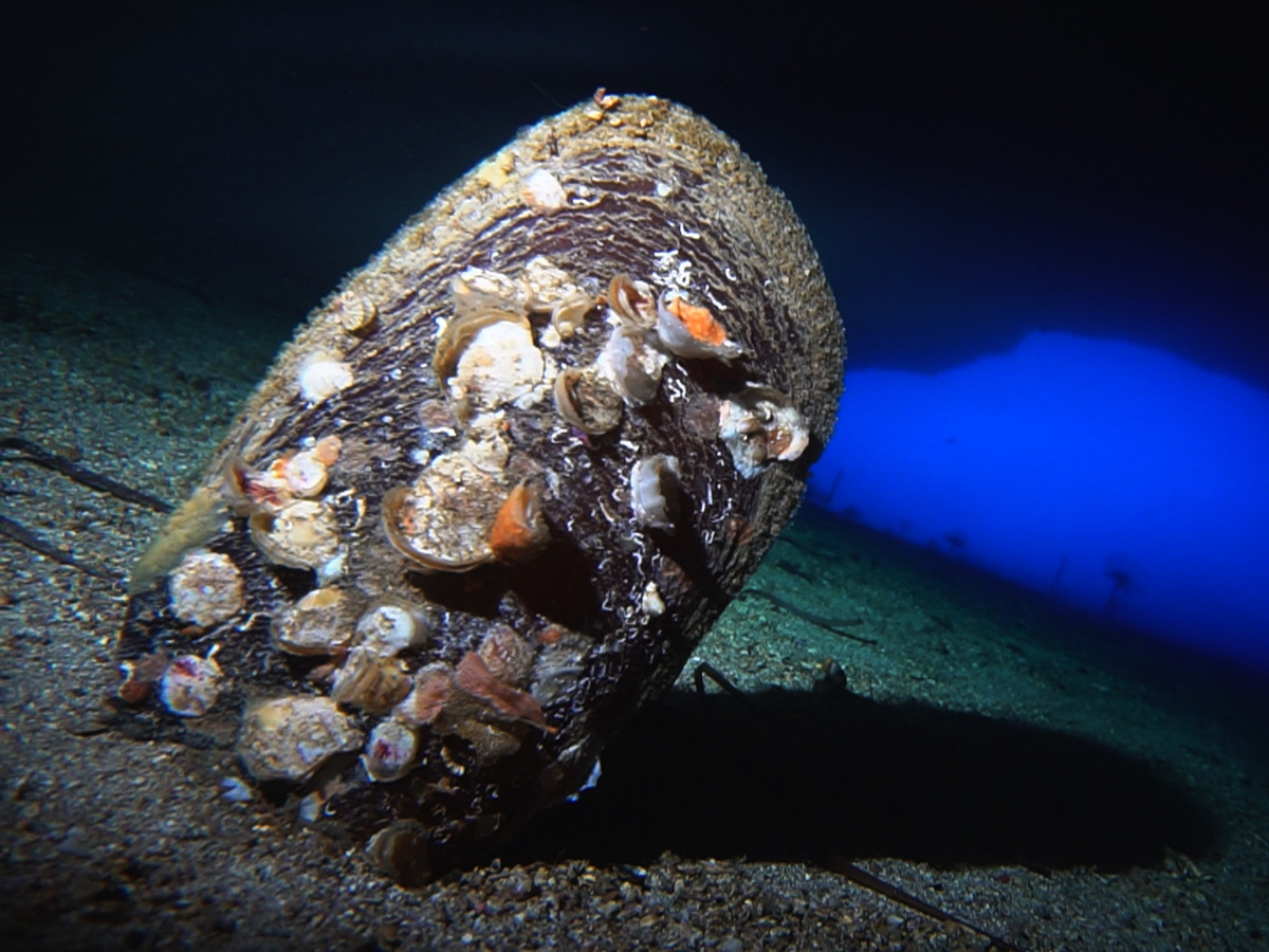 scuba-diving-school-catania-immersione-notturna